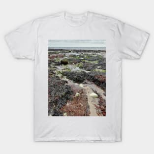 Sand, Sea, and Stones, Sculpted by the Sea. T-Shirt